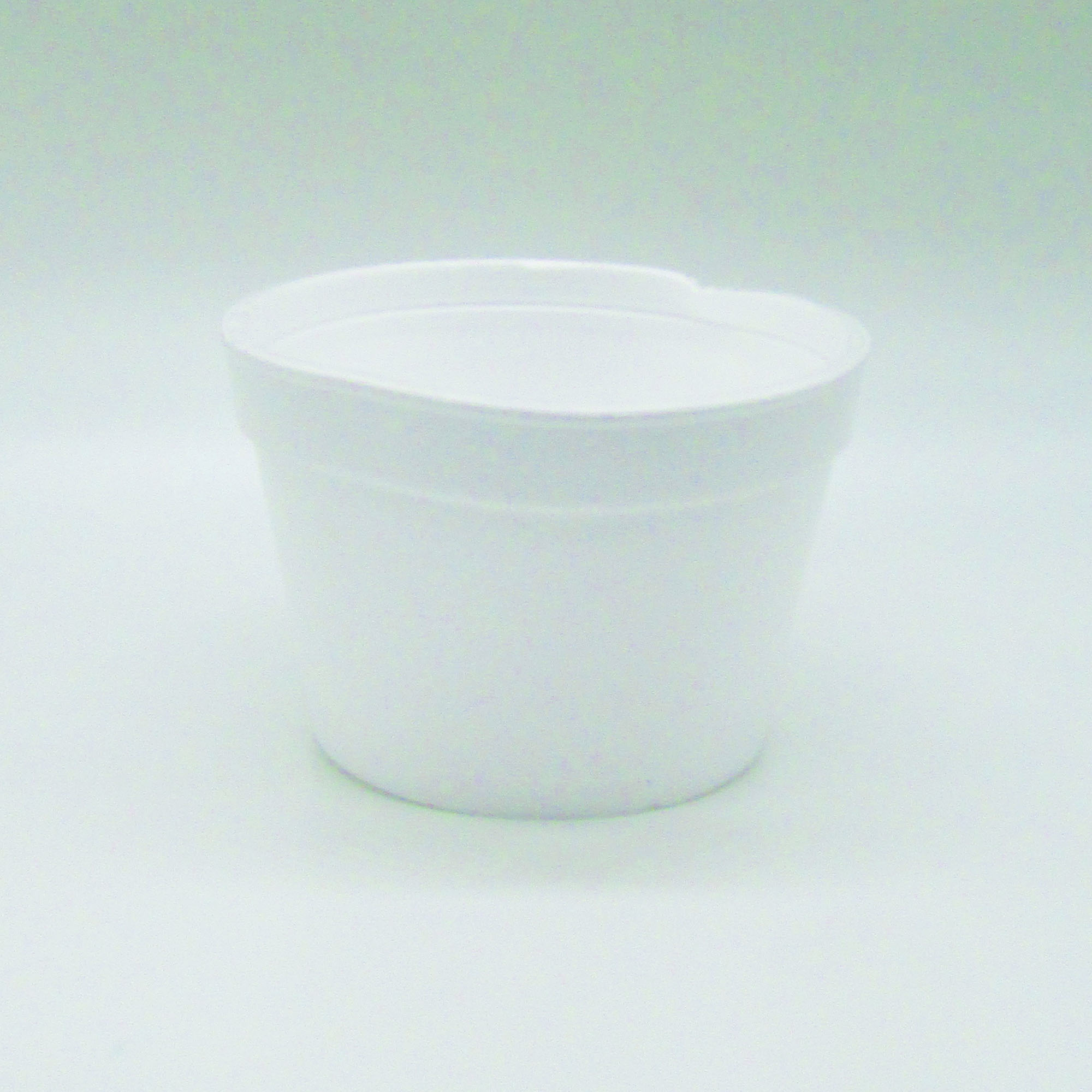Envase de Sopa 8oz - G30